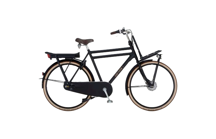 Federaal zo mug Elektrische transportfietsen - Elektrische fietsen - Elektrische fietsen